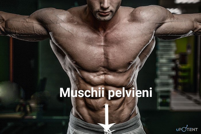 Cum controlezi ejacularea precoce prin mușchii pelvieni