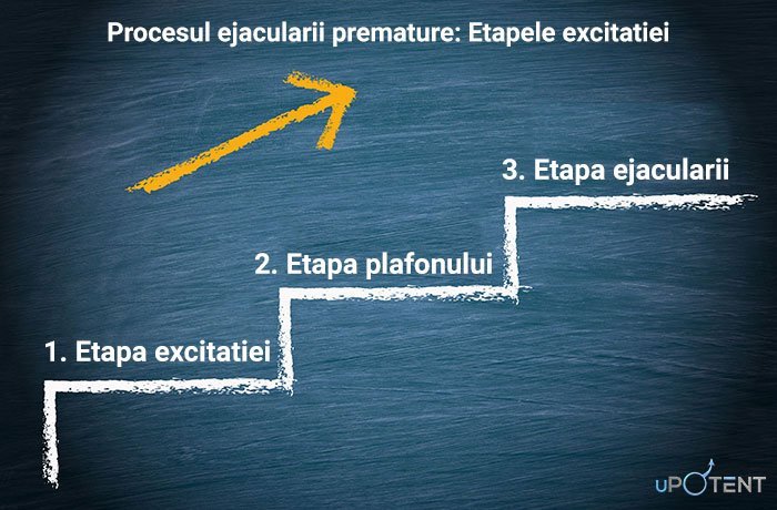 Manifestarea ejaculării precoce: procesul ejaculării premature